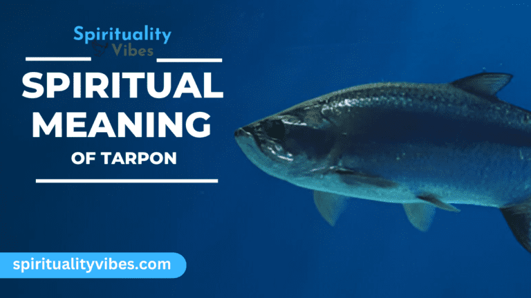 Spiritual Meaning of Tarpon