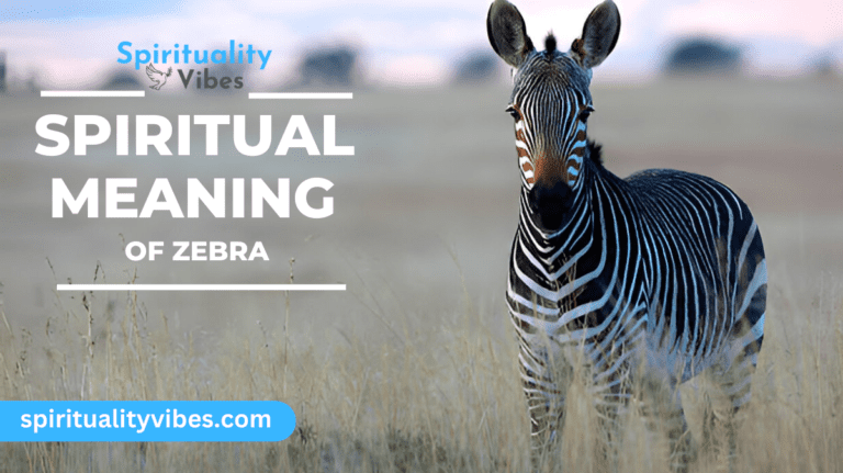 Spiritual Meaning of Zebra