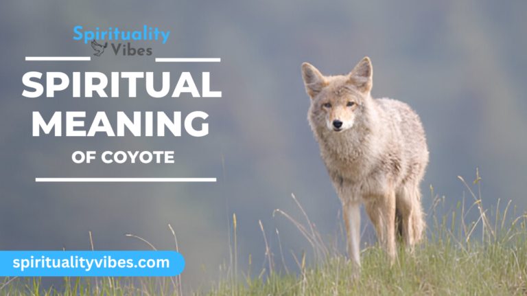 Spiritual Meaning of coyote