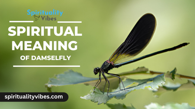 Spiritual Meaning of Damselfly