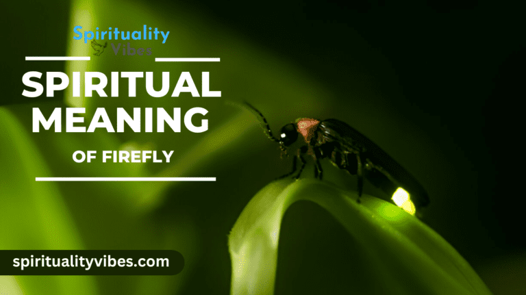 Spiritual Meaning of Firefly