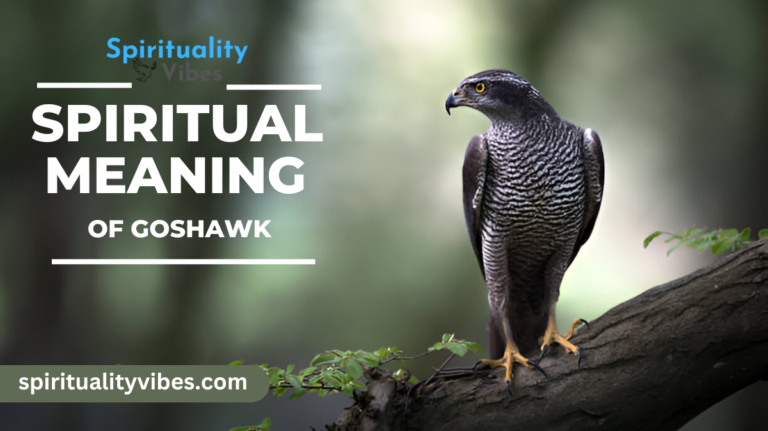 Spiritual Meaning of Goshawk