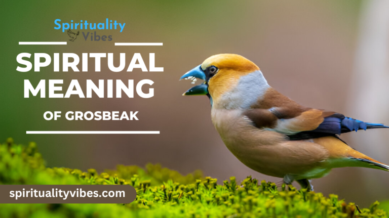 Spiritual Meaning of Grosbeak