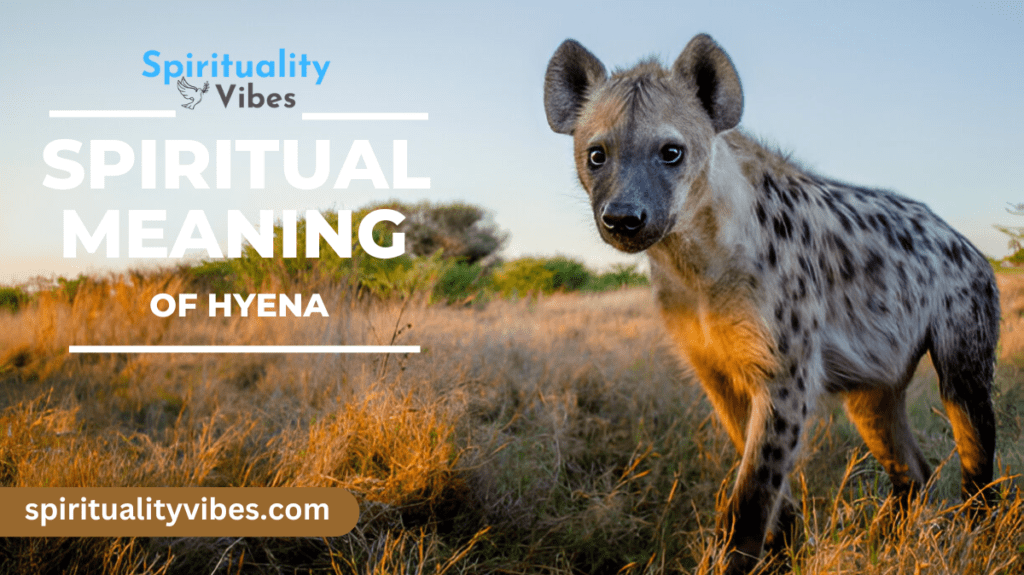 Spiritual Meaning of Hyena