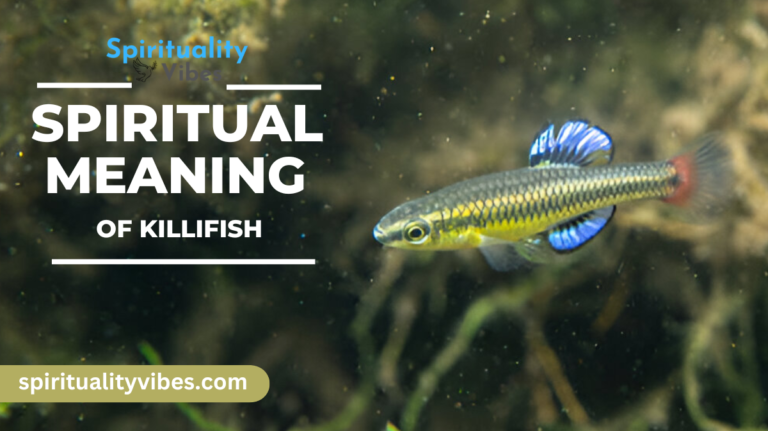 Spiritual Meaning of Killifish