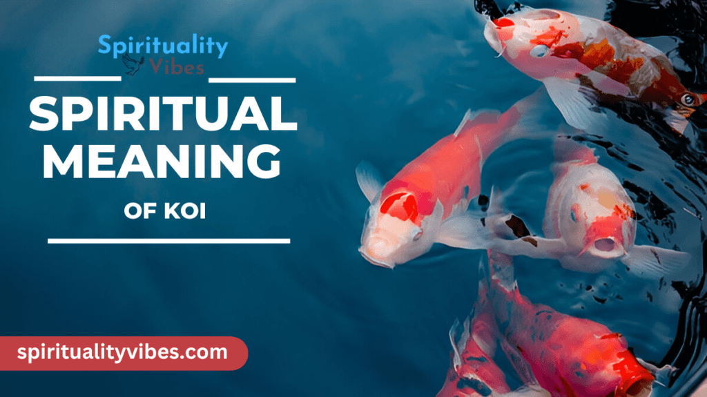 Spiritual Meaning of Koi