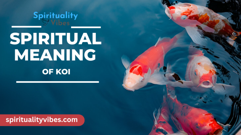 Spiritual Meaning of Koi