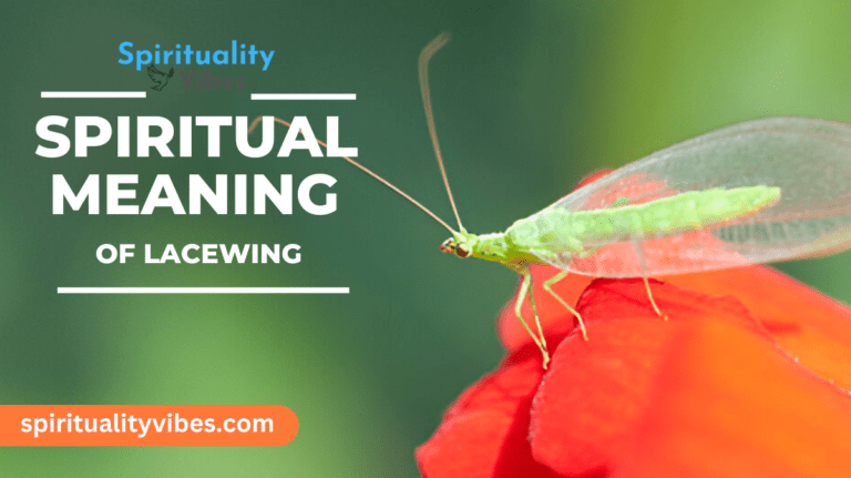 Spiritual Meaning of Lacewing