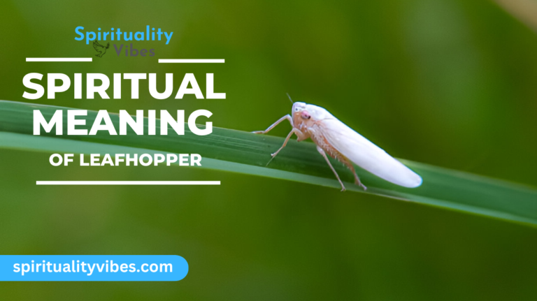 Spiritual Meaning of Leafhopper