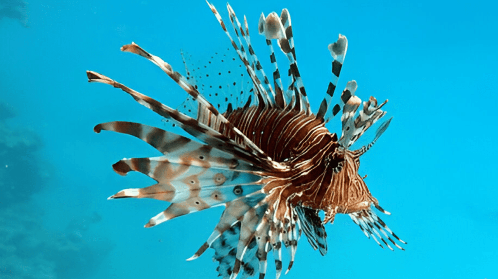 Spiritual Meaning of Lionfish