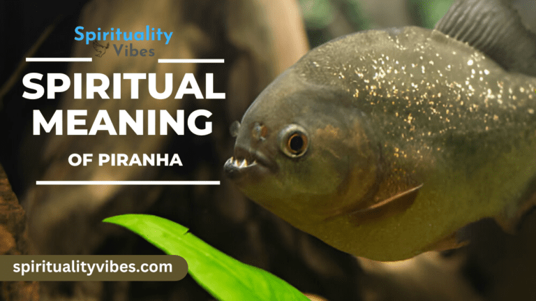 Spiritual Meaning of Piranha