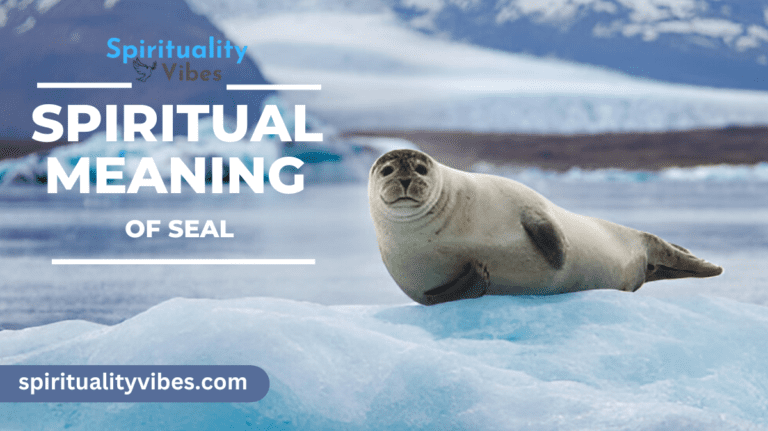 Spiritual Meaning of Seal