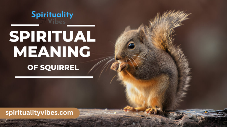 Spiritual Meaning of Squirrel