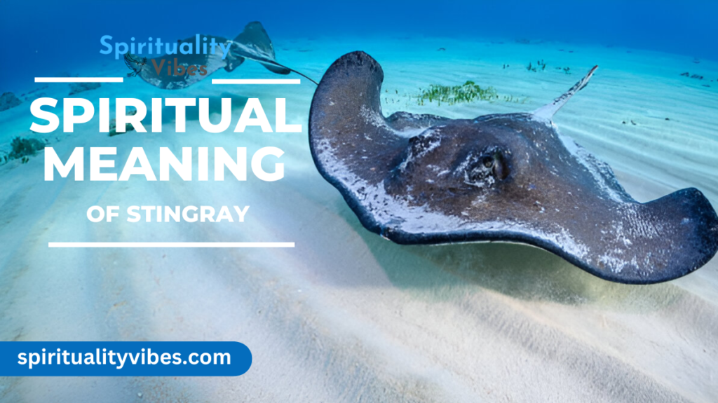 Spiritual Meaning of Stingray