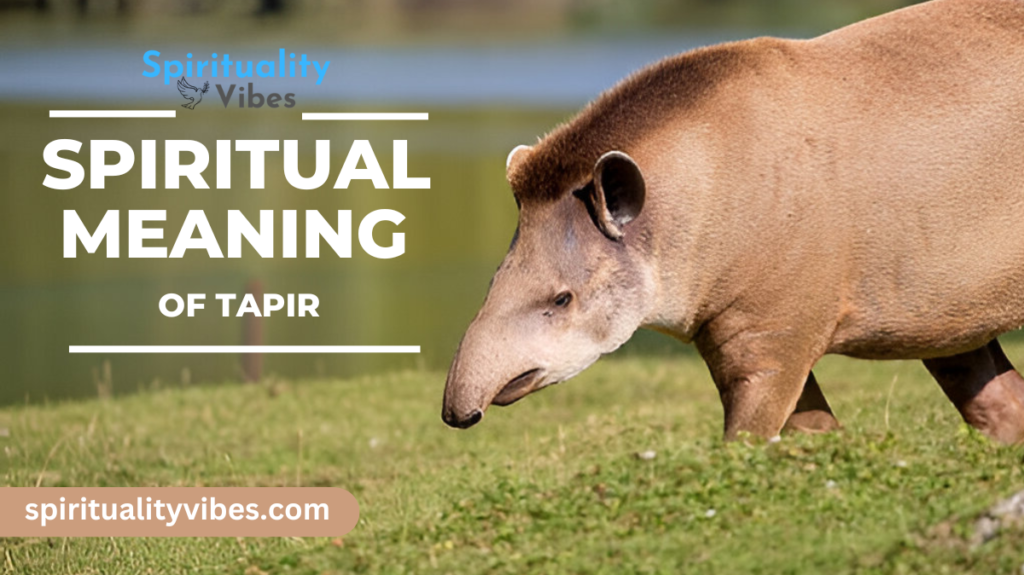 Spiritual Meaning of Tapir