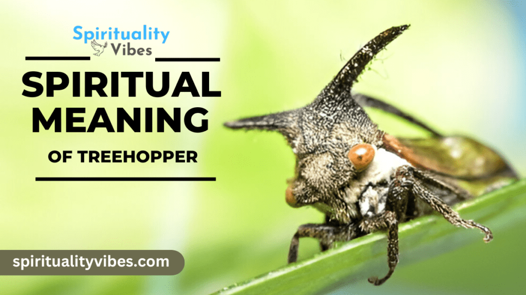 Spiritual Meaning of Treehopper