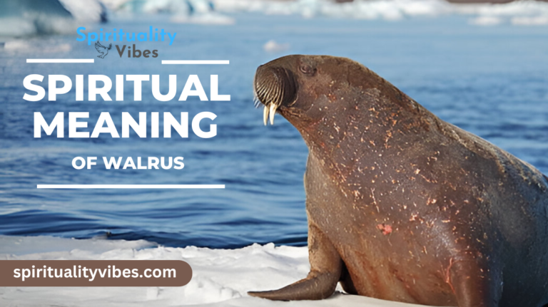 Spiritual Meaning of Walrus