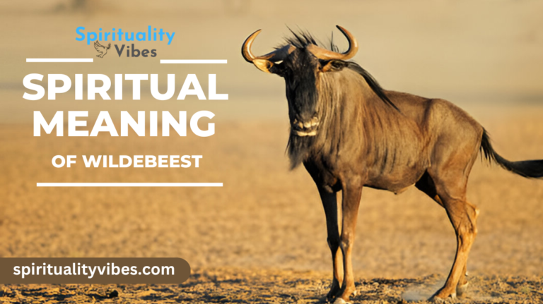 Spiritual Meaning of Wildebeest